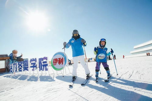 伊利前三季度營收穩(wěn)健增長，液態(tài)乳基本盤穩(wěn)固，多元化布局開拓新增長點(diǎn)